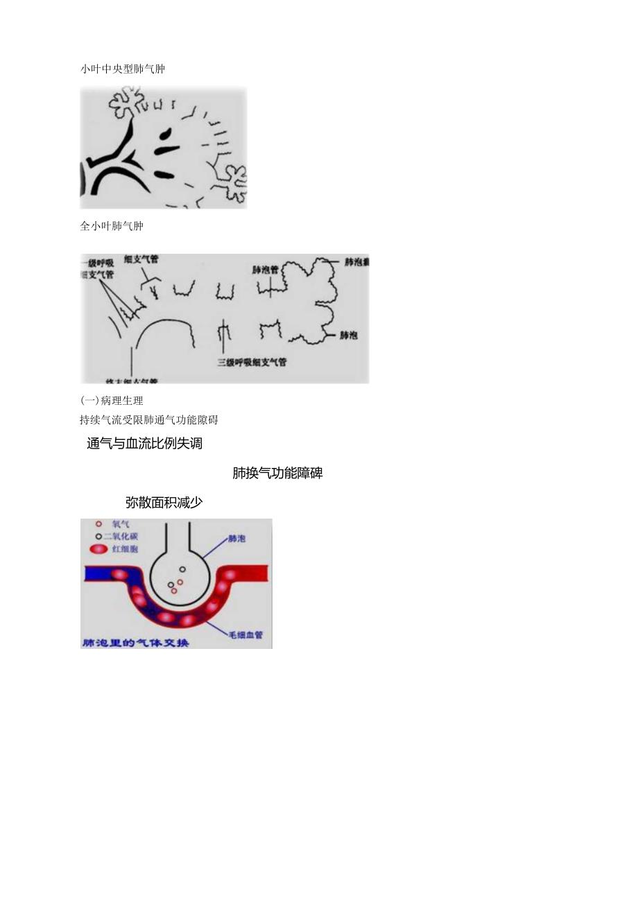 心血管内科主治医师资格笔试基础知识考点解析 ：常见疾病病因病理.docx_第2页