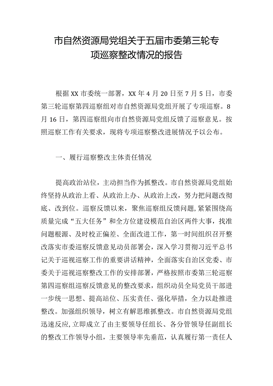 市自然资源局党组关于五届市委第三轮专项巡察整改情况的报告.docx_第1页