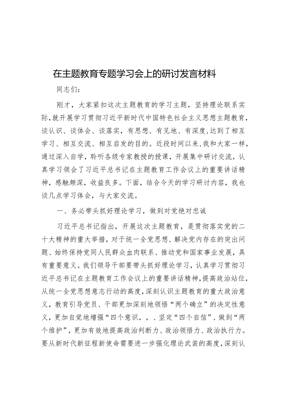 在主题教育专题学习会上的研讨发言材料.docx_第1页