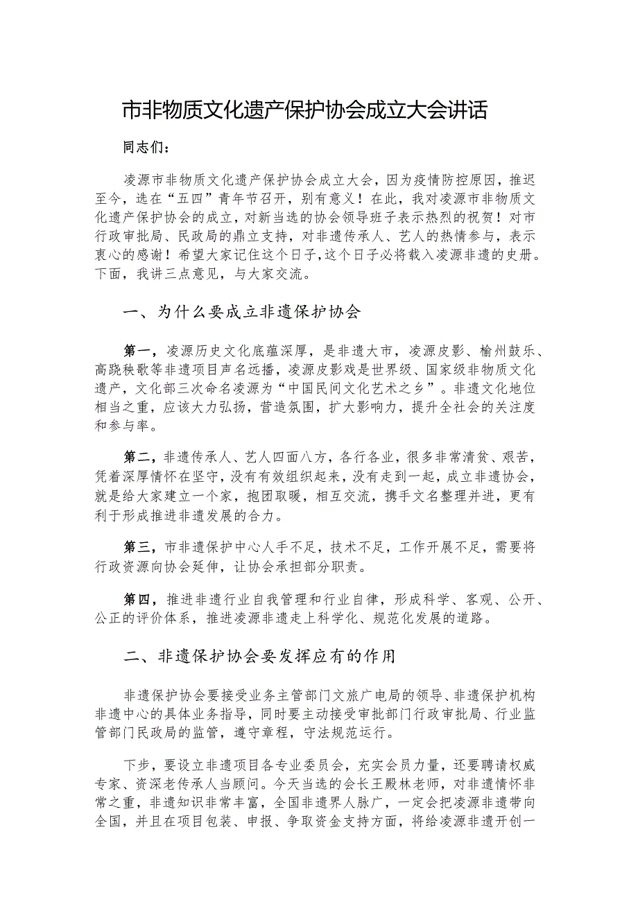 市非物质文化遗产保护协会成立大会讲话.docx_第1页