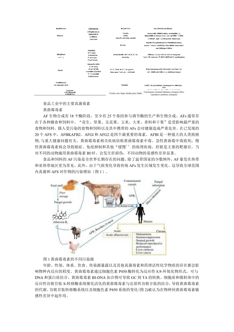 食物中真菌毒素的危害及预防和检测.docx_第3页