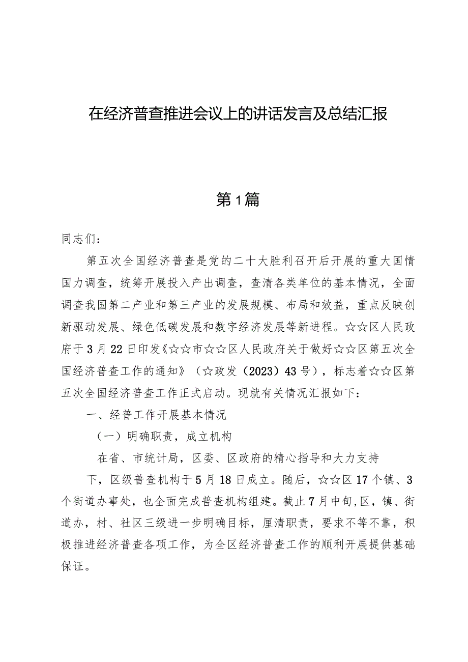 在经济普查推进会议上的讲话发言及总结汇报.docx_第1页