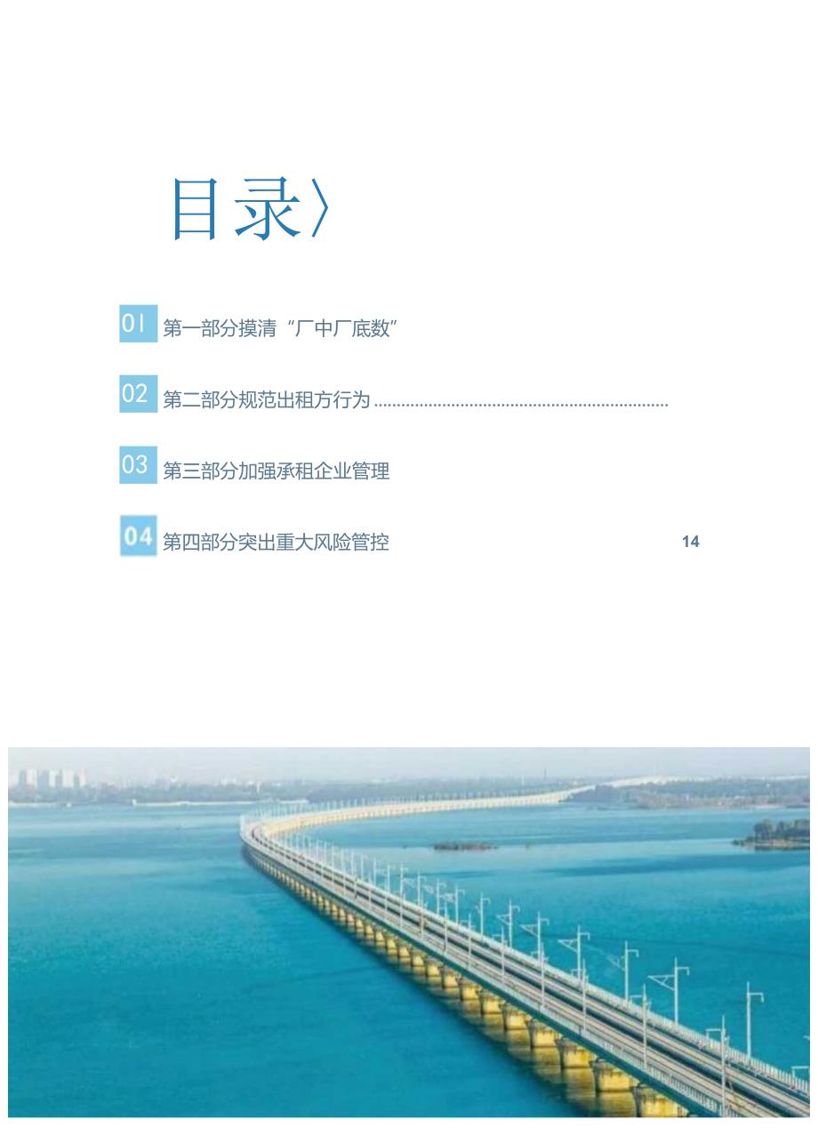 厂中厂安全生产整治行动指导手册.docx_第2页