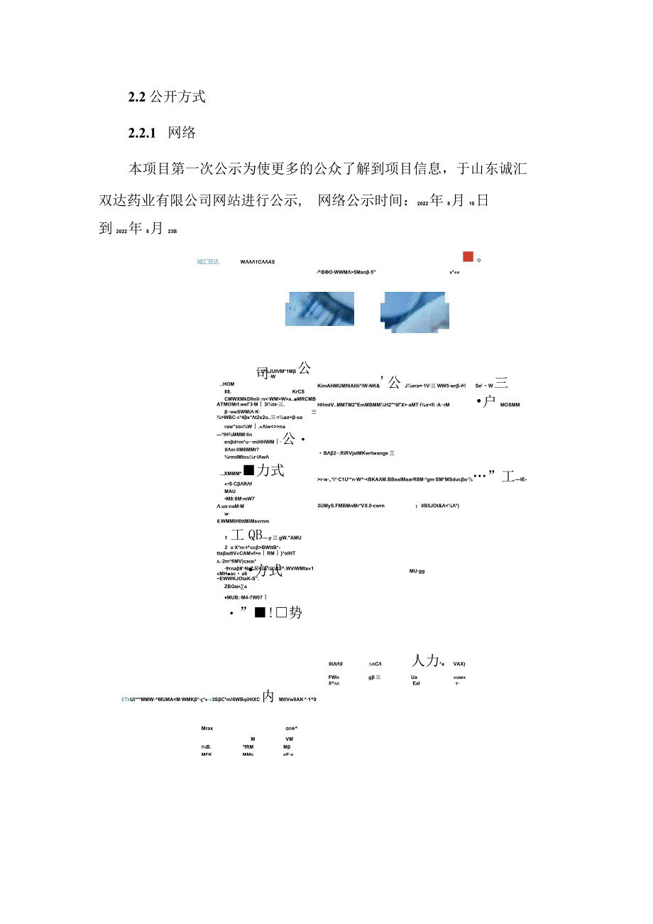 高端创新原料药转型升级及绿色生产项目公众参与.docx_第3页