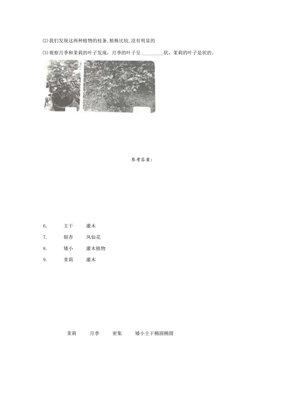 粤教版科学四年级下册2月季和茉莉练习.docx_第3页