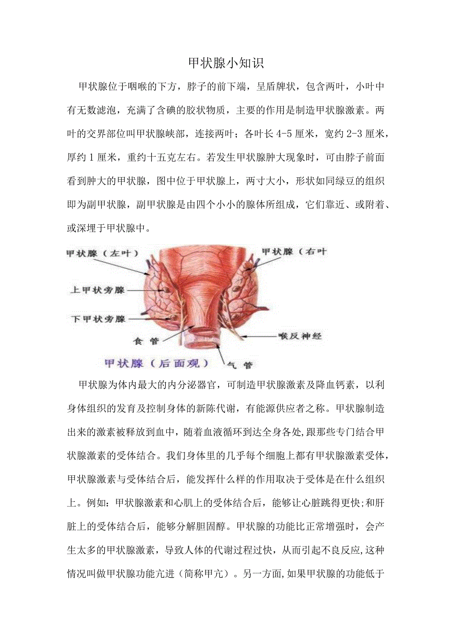 甲状腺癌照护指导手册.docx_第2页