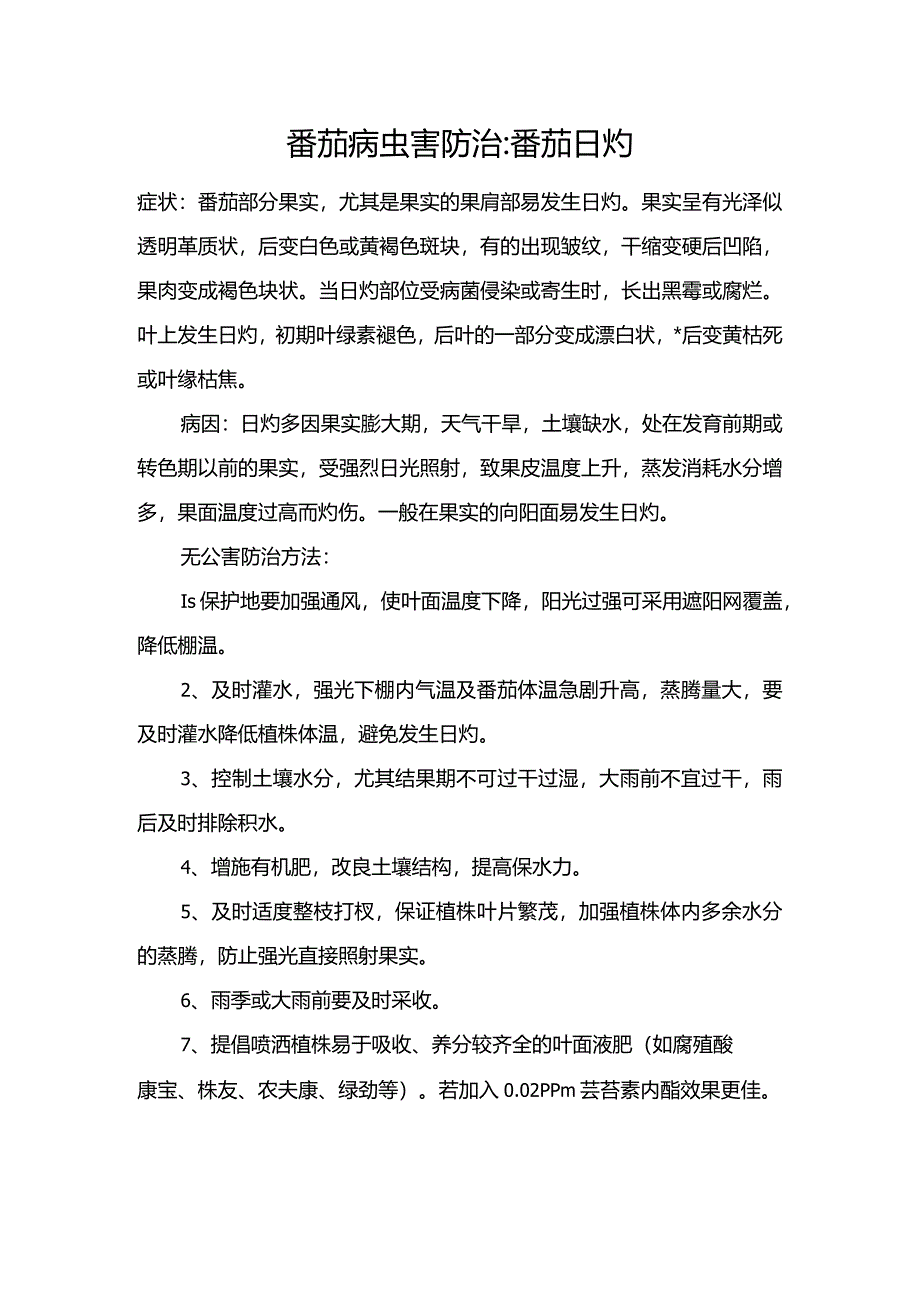 番茄病虫害防治：番茄日灼.docx_第1页