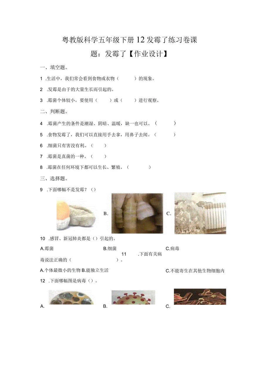 粤教版科学五年级下册12发霉了练习.docx_第1页