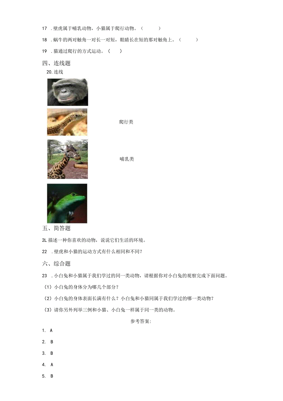 粤教版科学三年级上册3壁虎与小猫练习.docx_第2页