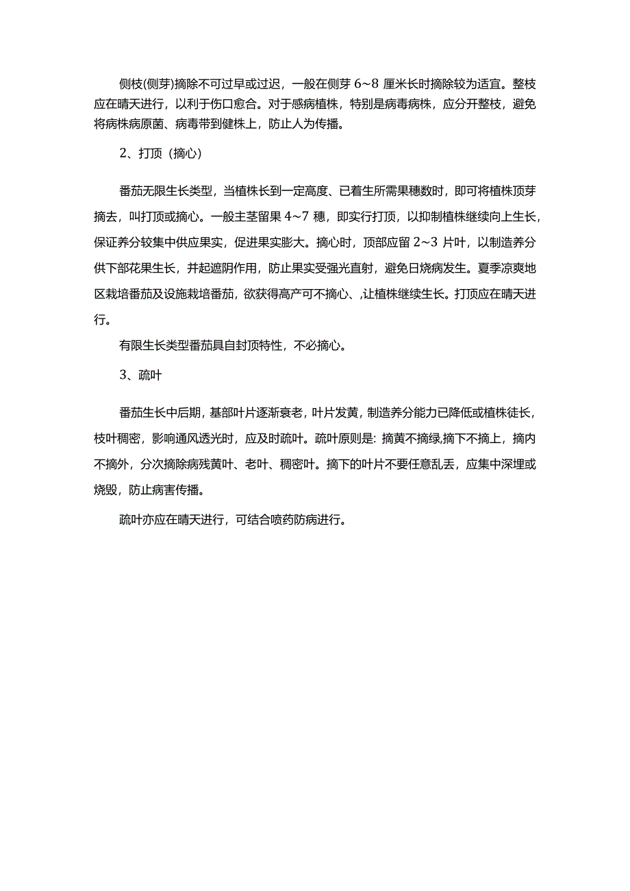 番茄整枝、打顶、疏叶技术.docx_第2页