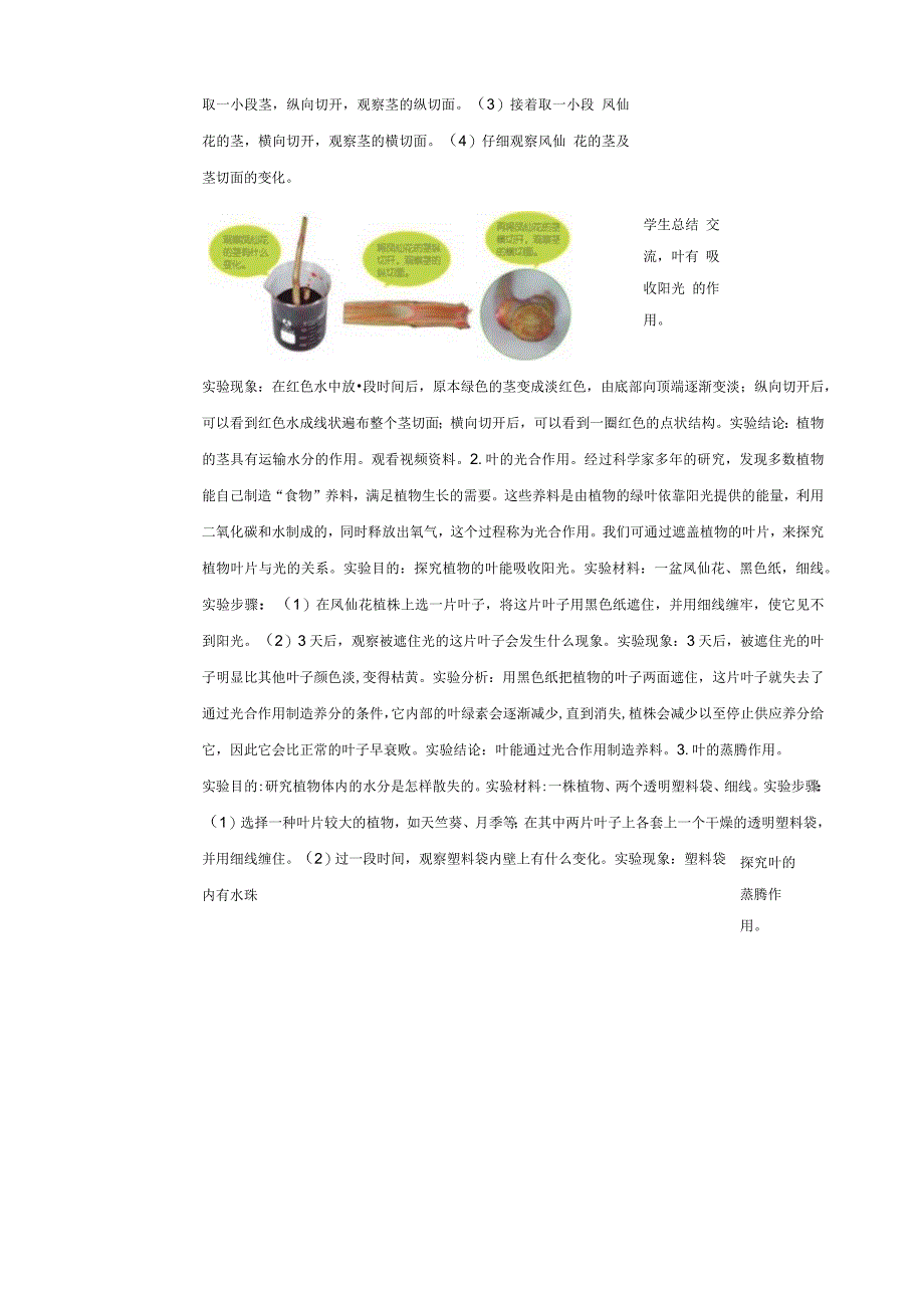 新教科版四年级下册科学1.4《茎和叶》教案（定稿）.docx_第3页