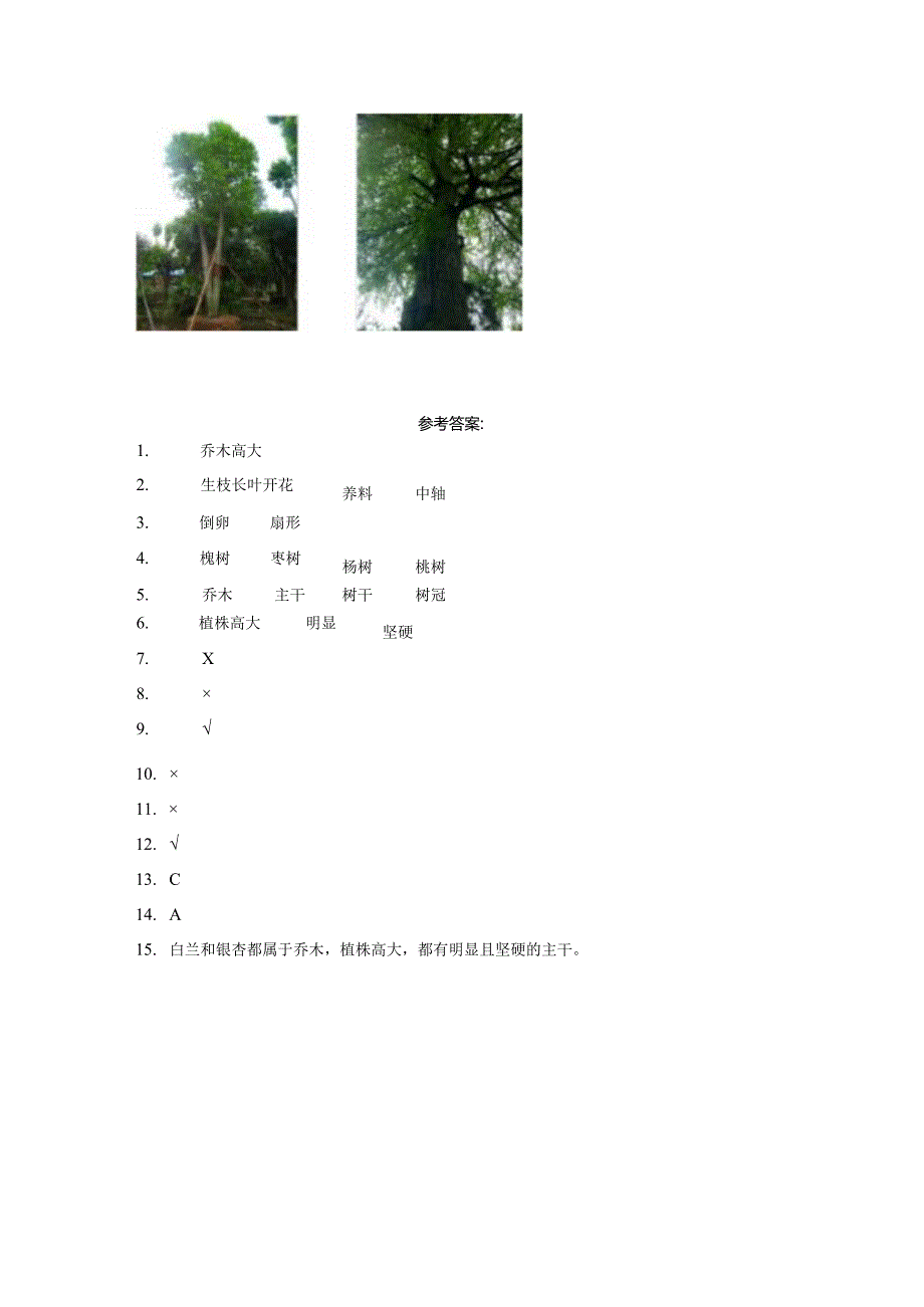 粤教版科学四年级下册同步课后练习含答案.docx_第2页