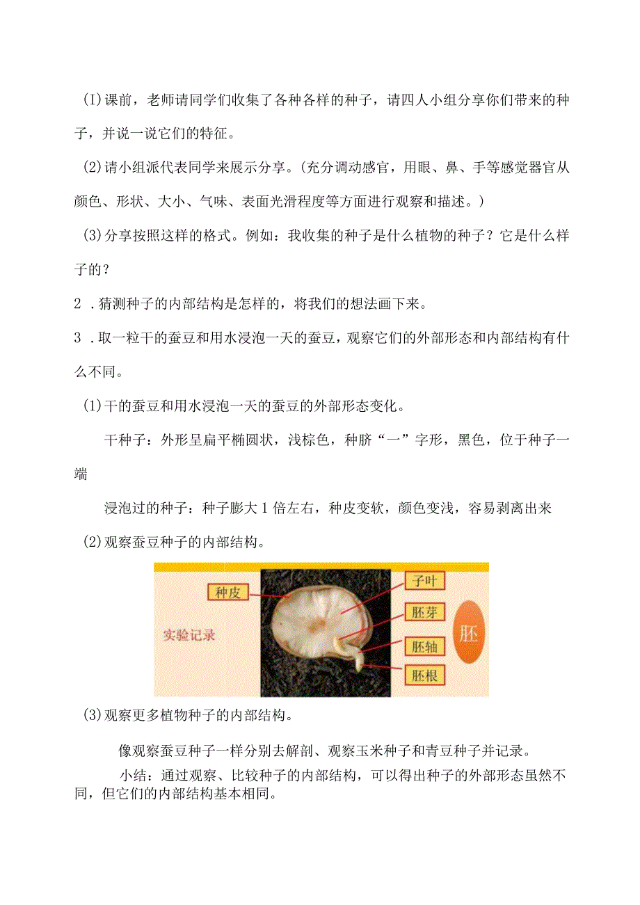 第1课种子里孕育着新生命（教学设计）四年级科学下册（教科版）.docx_第3页