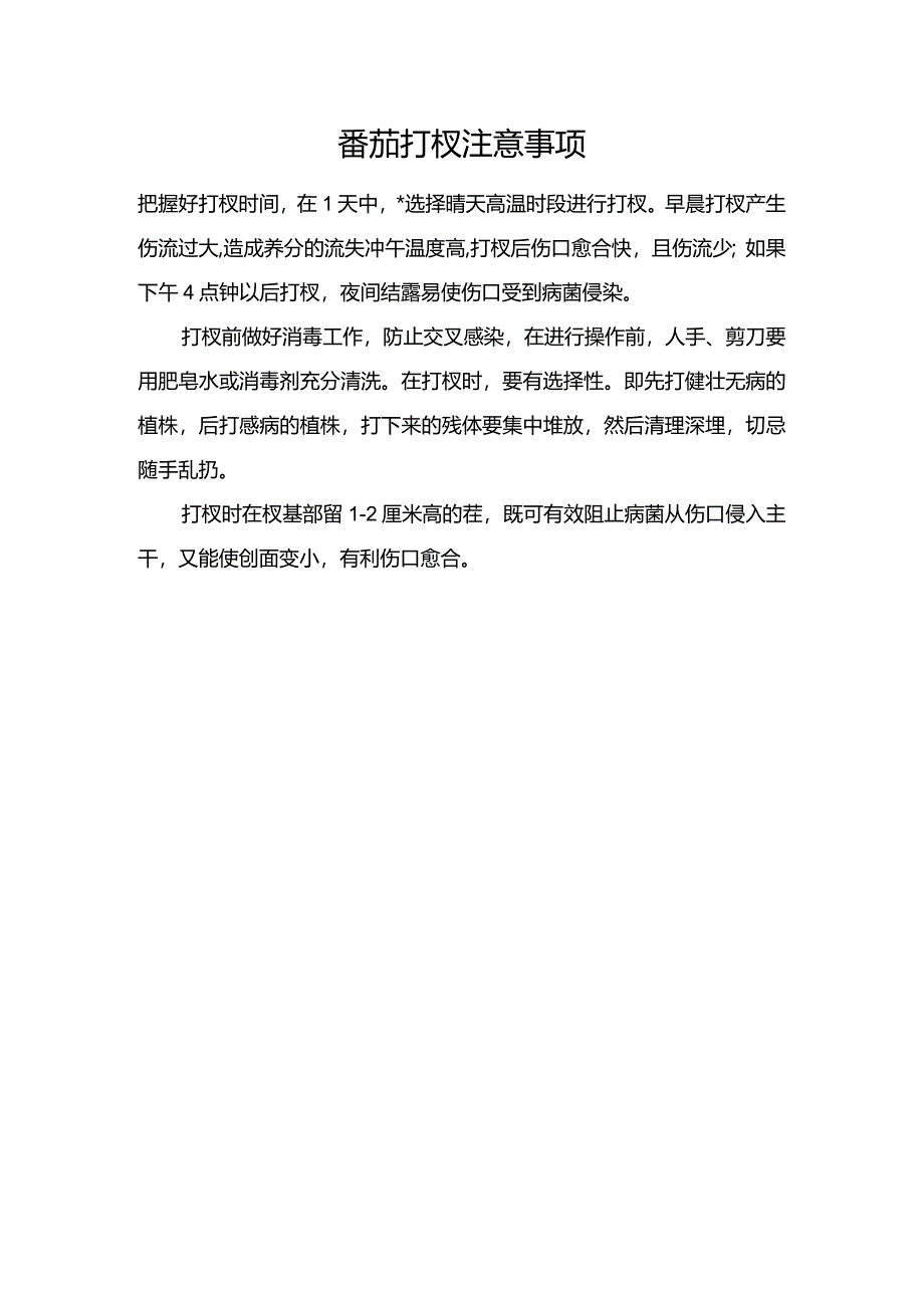 番茄打杈注意事项.docx_第1页