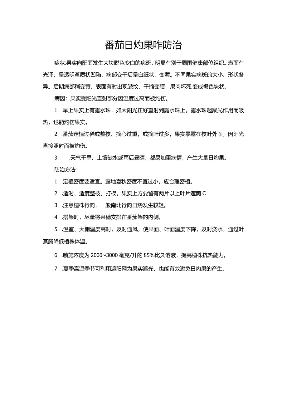 番茄日灼果咋防治.docx_第1页