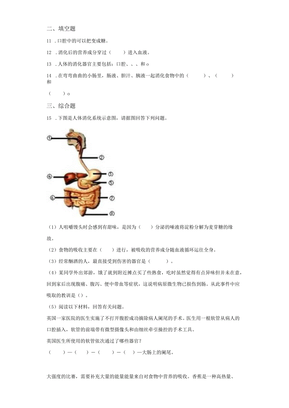 粤教版科学三年级下册7食物的消化练习.docx_第2页