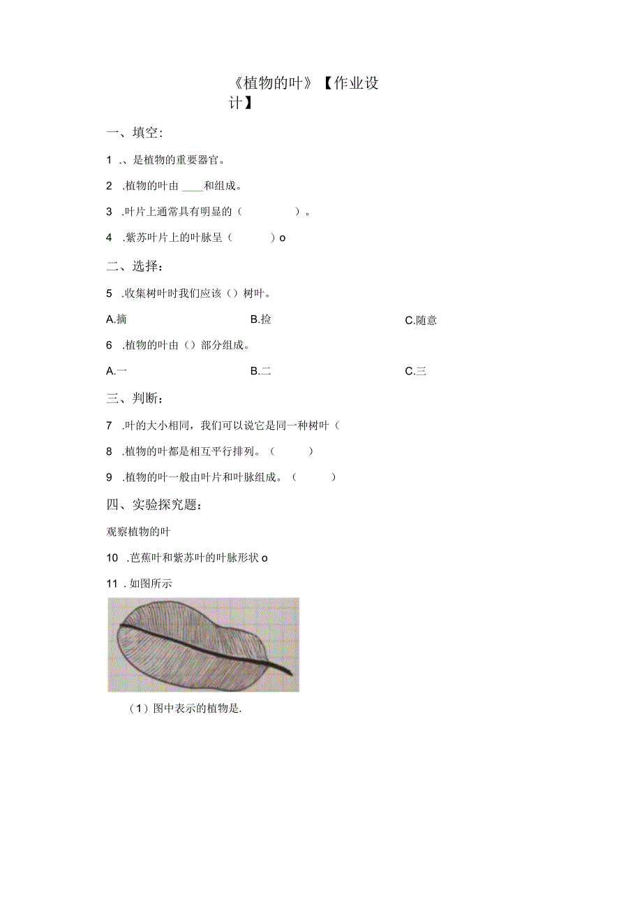 粤教版科学三年级下册12植物的叶练习.docx_第1页