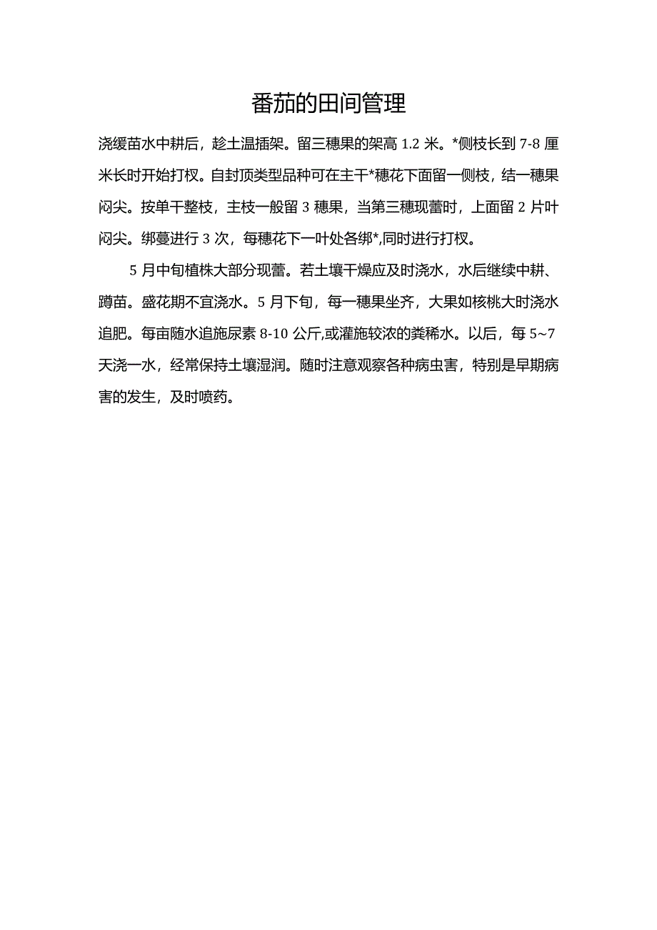 番茄的田间管理.docx_第1页