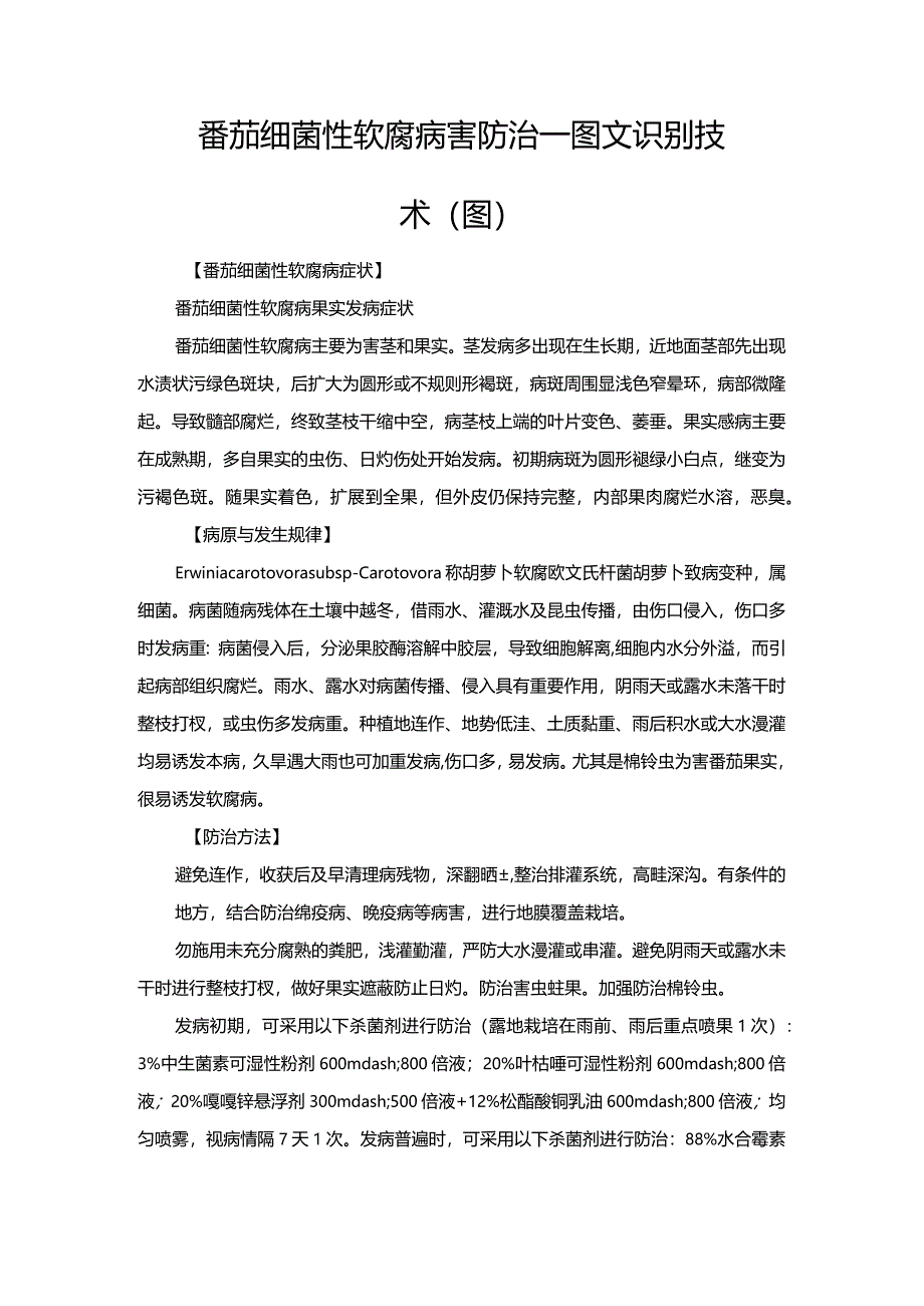 番茄细菌性软腐病害防治—图文识别技术（图）.docx_第1页