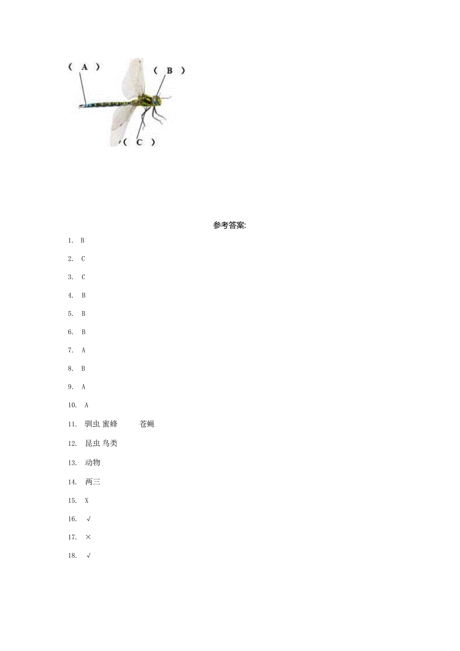 粤教版科学三年级上册2蜻蜓与麻雀练习.docx_第3页