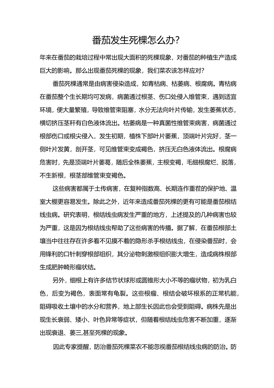 番茄发生死棵怎么办？.docx_第1页