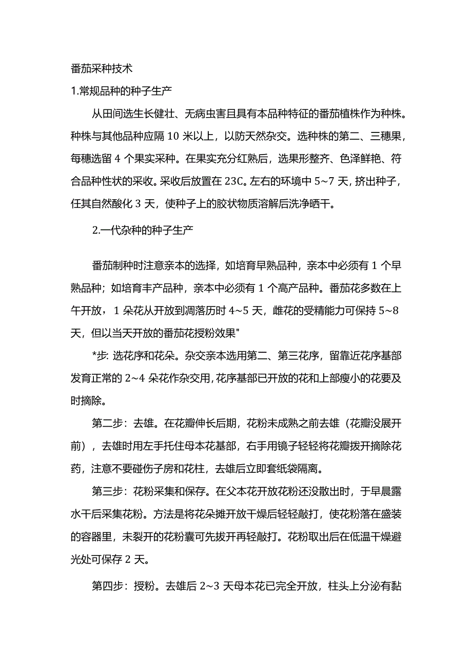 番茄采种技术.docx_第1页