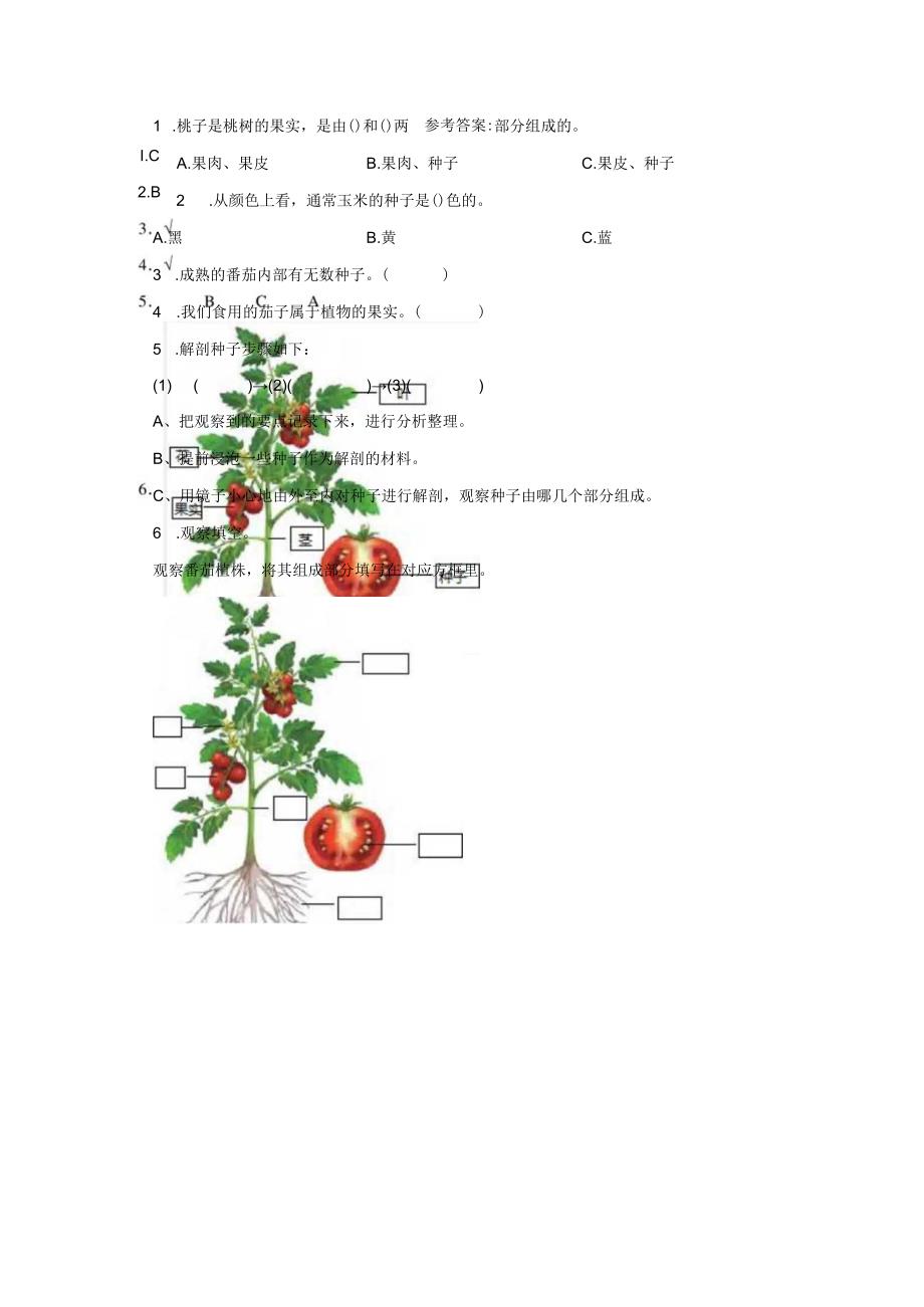 粤教版科学三年级下册16-果实和种子练习.docx_第1页