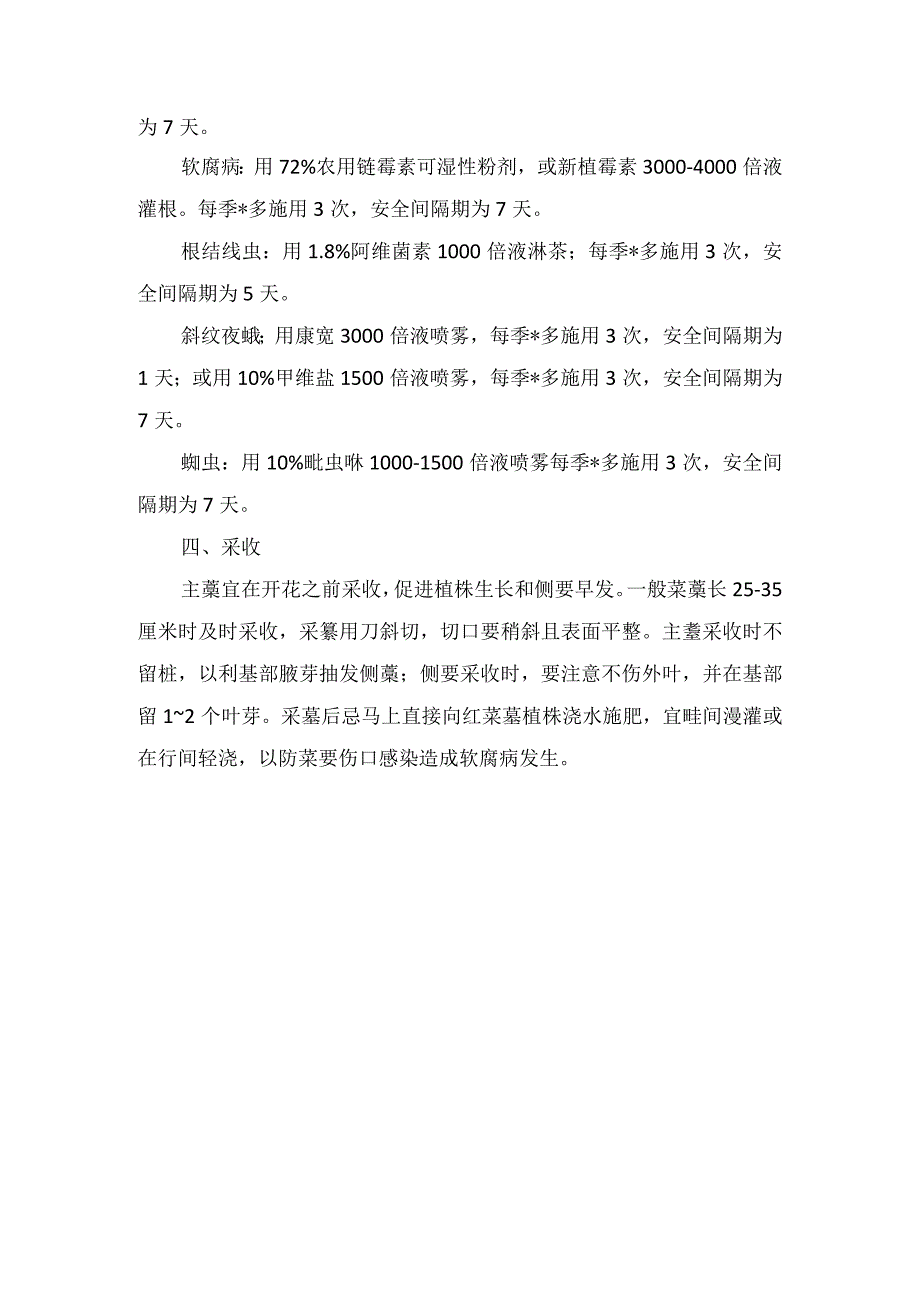 红菜薹田间管理.docx_第2页