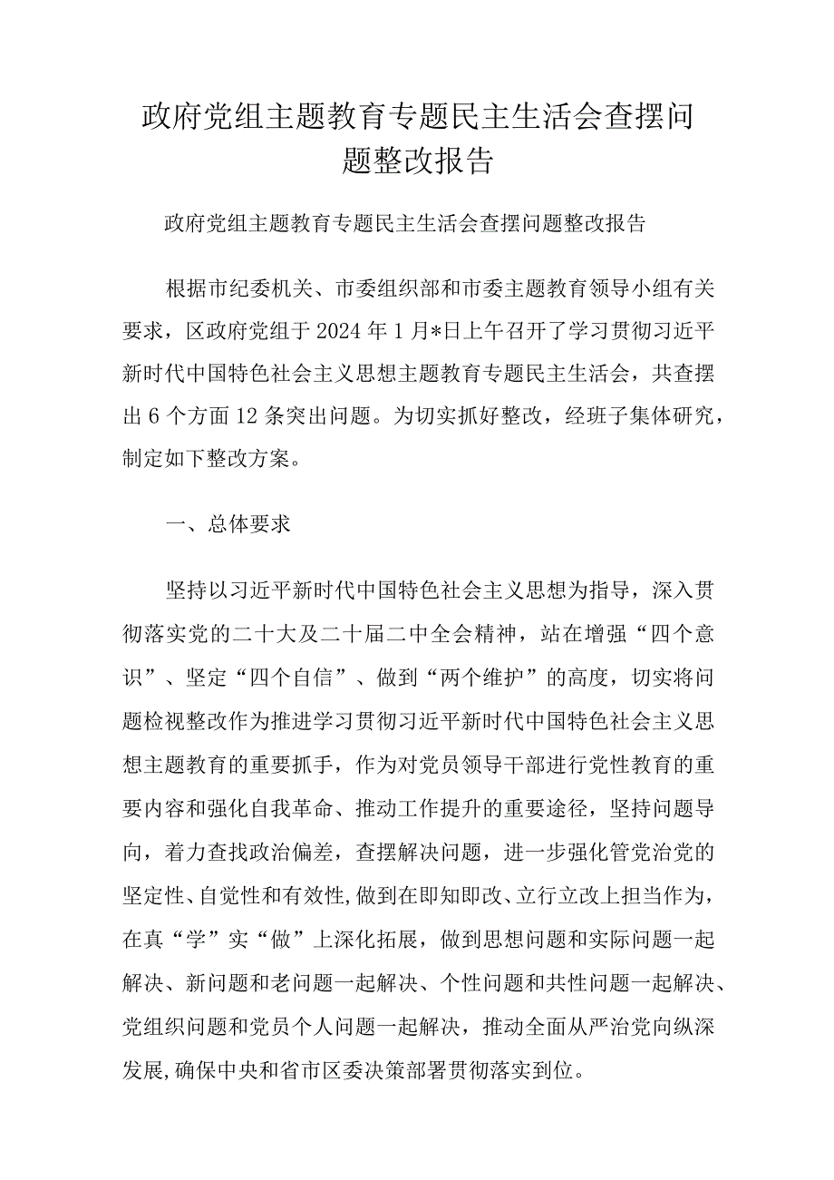 政府党组主题教育专题民主生活会查摆问题整改报告.docx_第1页