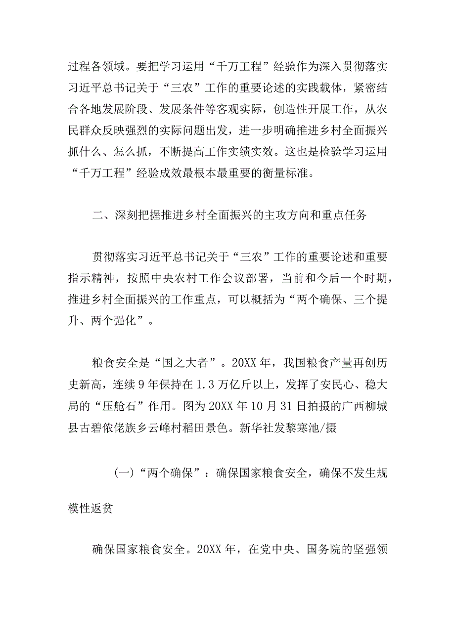 推进乡村全面振兴工作报告.docx_第3页