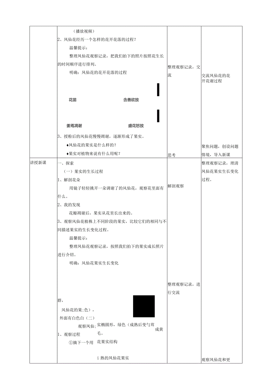 新教科版四年级下册科学1.6《果实和种子》教案（定稿）.docx_第2页