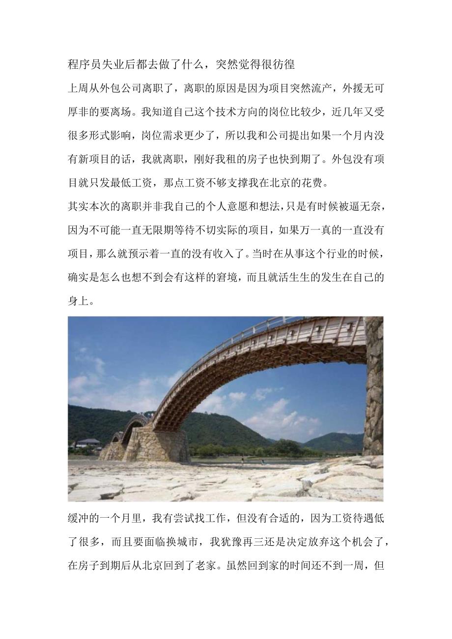 程序员失业后都去做了什么突然觉得很彷徨.docx_第1页