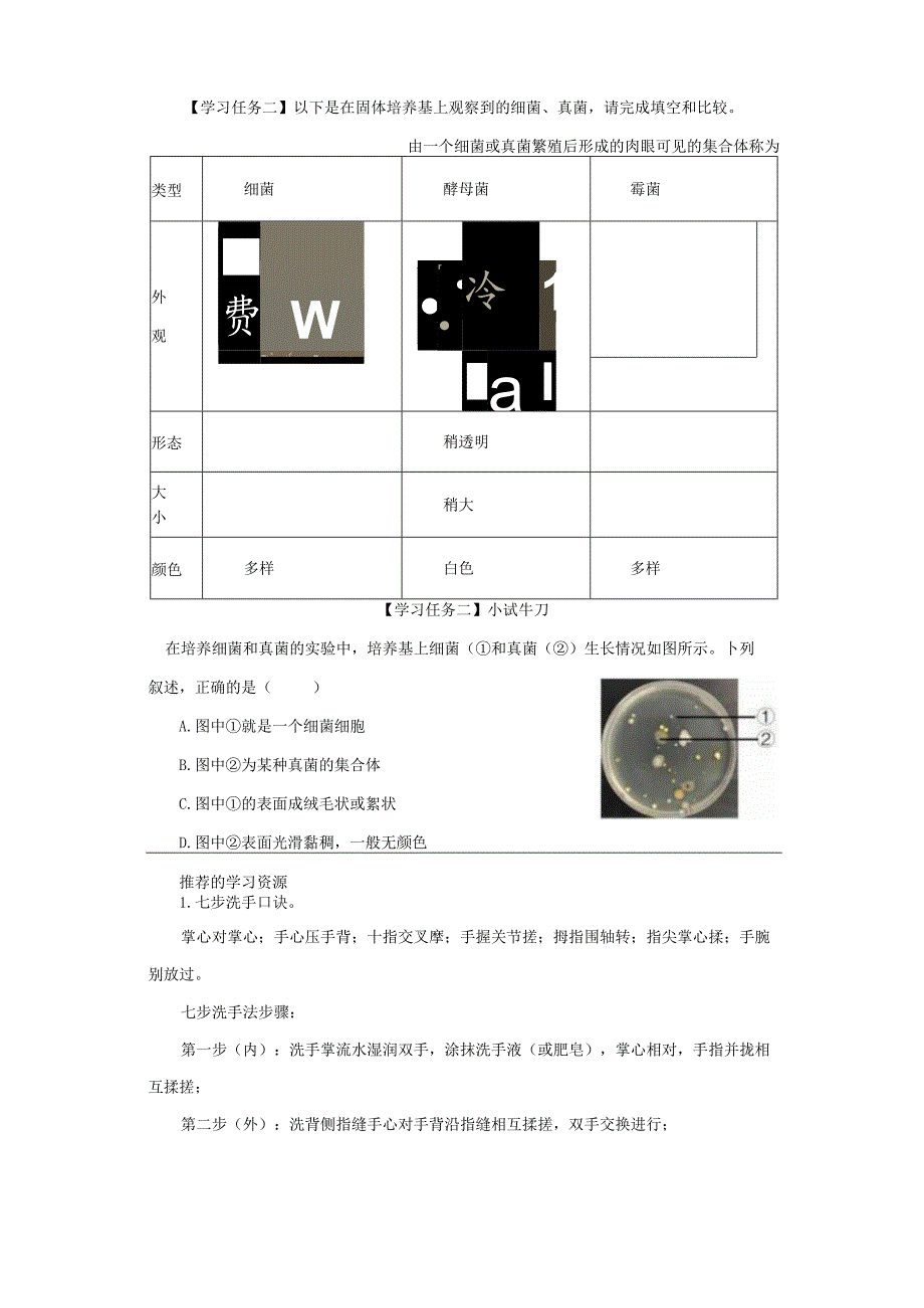 第一节细菌和真菌的分布_学习任务单_第一课时.docx_第2页