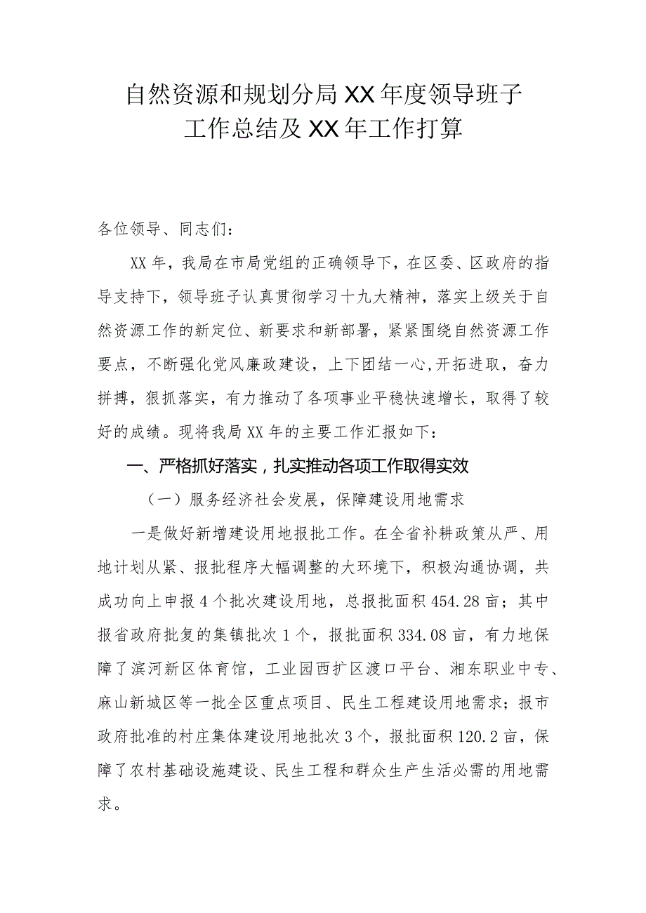 自然资源和规划分局年度领导班子工作总结及来年工作规划.docx_第1页