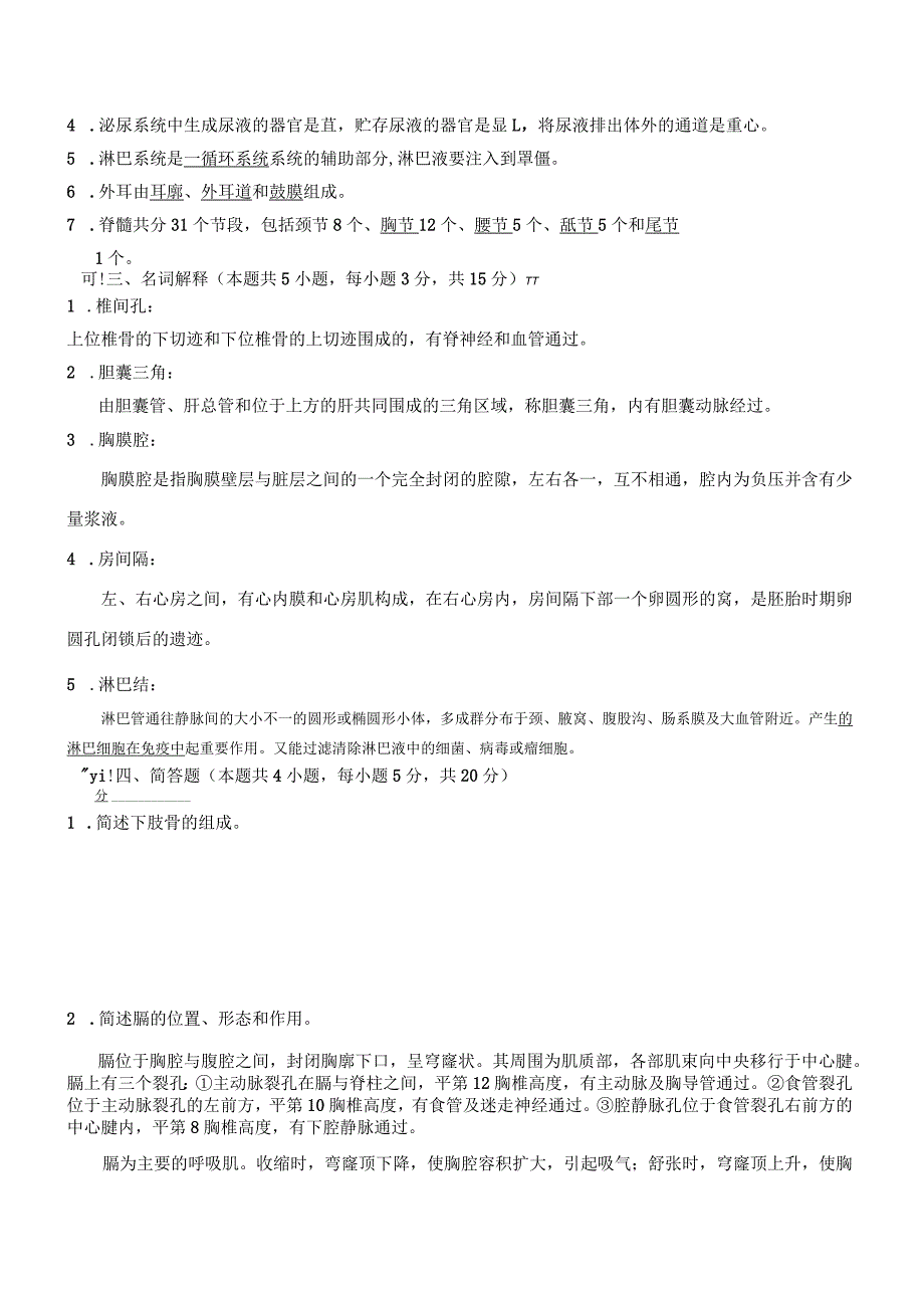 解剖学模拟考试二答案.docx_第3页