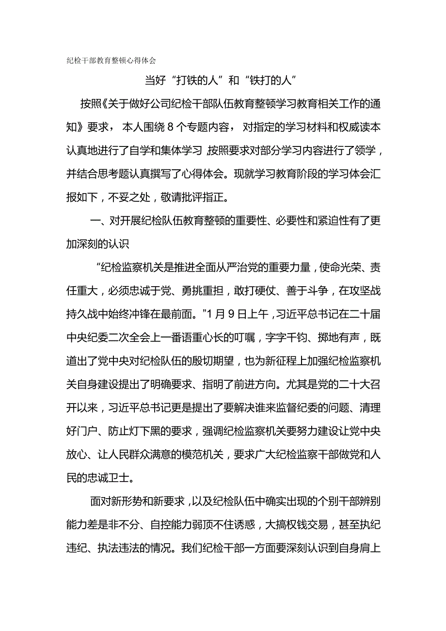 纪检干部教育整顿心得体会-当好“打铁的人”和“铁打的人”.docx_第1页