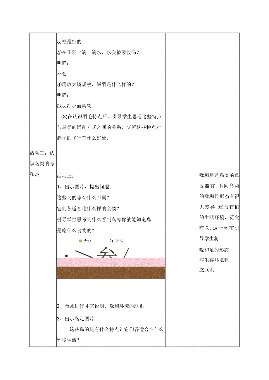 科学苏教版四年级上册3《鸟类》教学设计（表格式）.docx_第3页