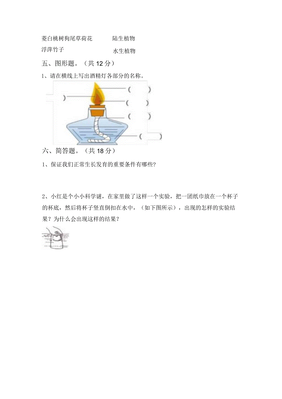 苏教版三年级科学下册期中模拟考试(及参考答案).docx_第3页