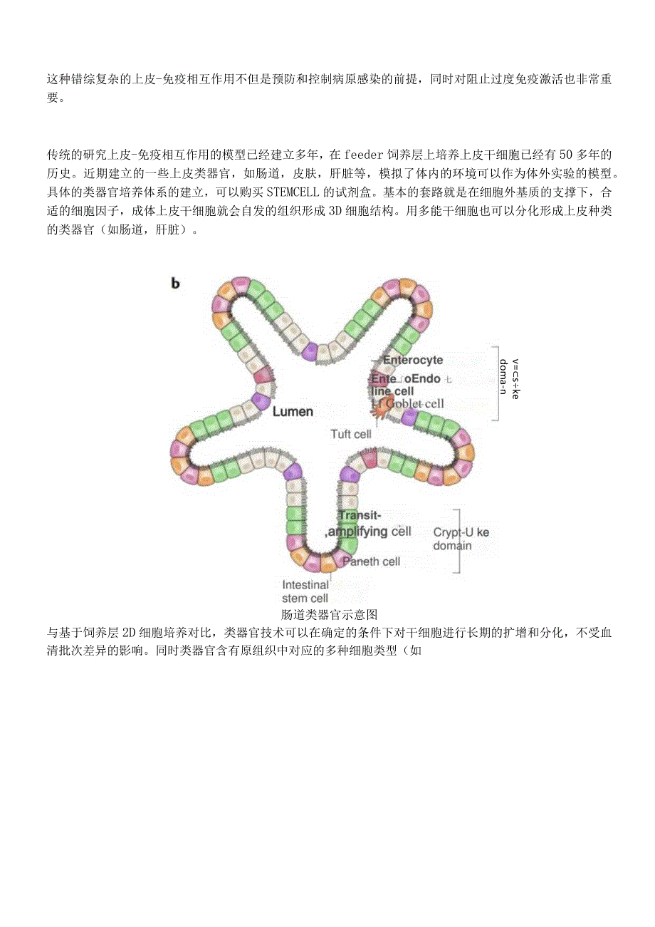 类器官与免疫学研究.docx_第2页