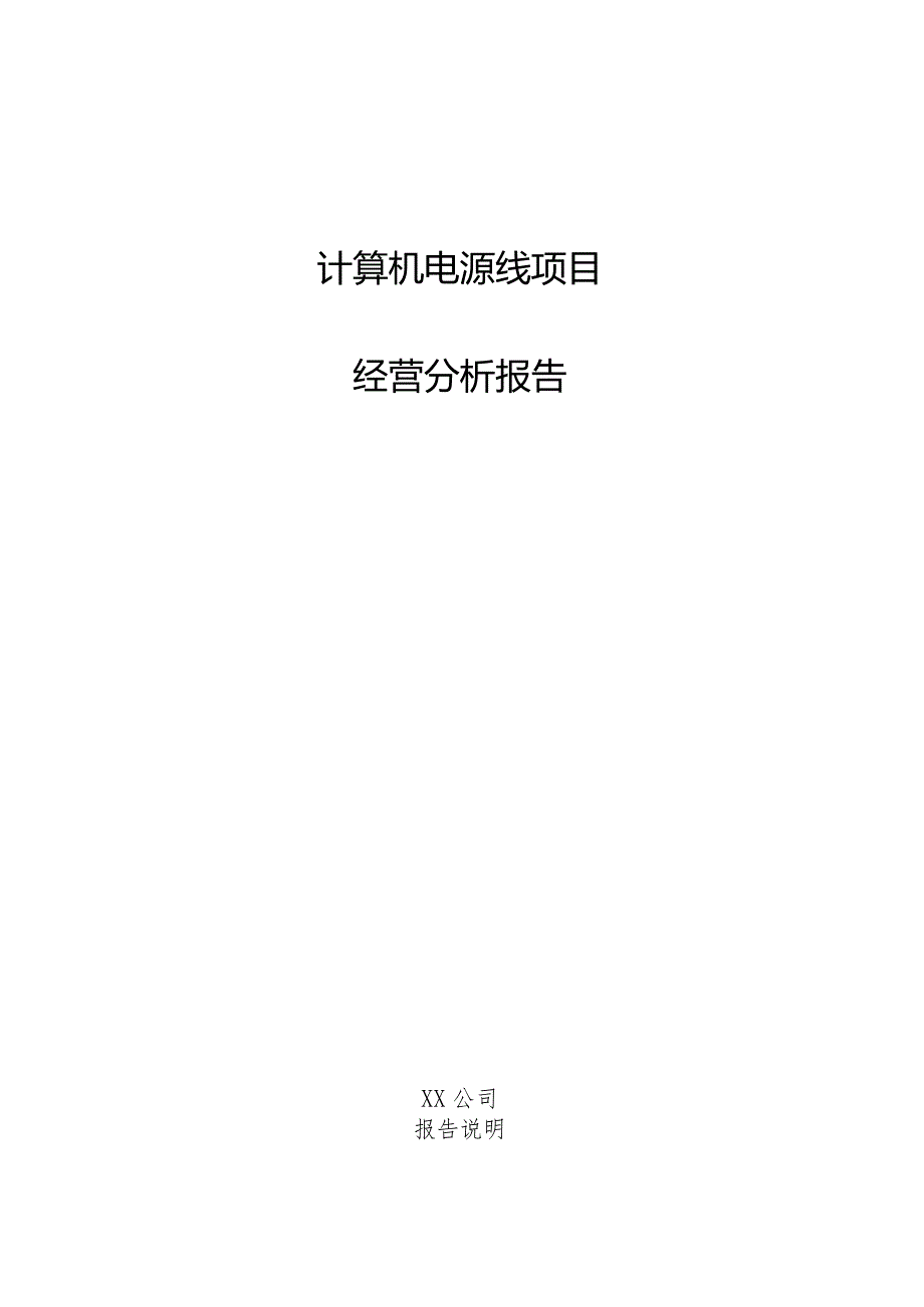 计算机电源线项目经营分析报告.docx_第1页