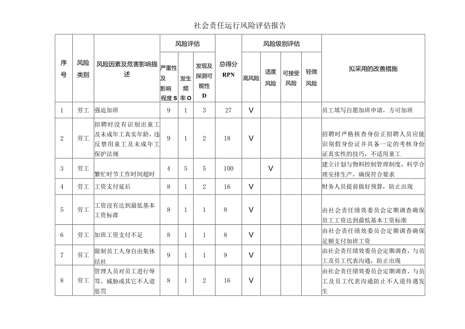 社会责任运行风险评估报告.docx_第1页