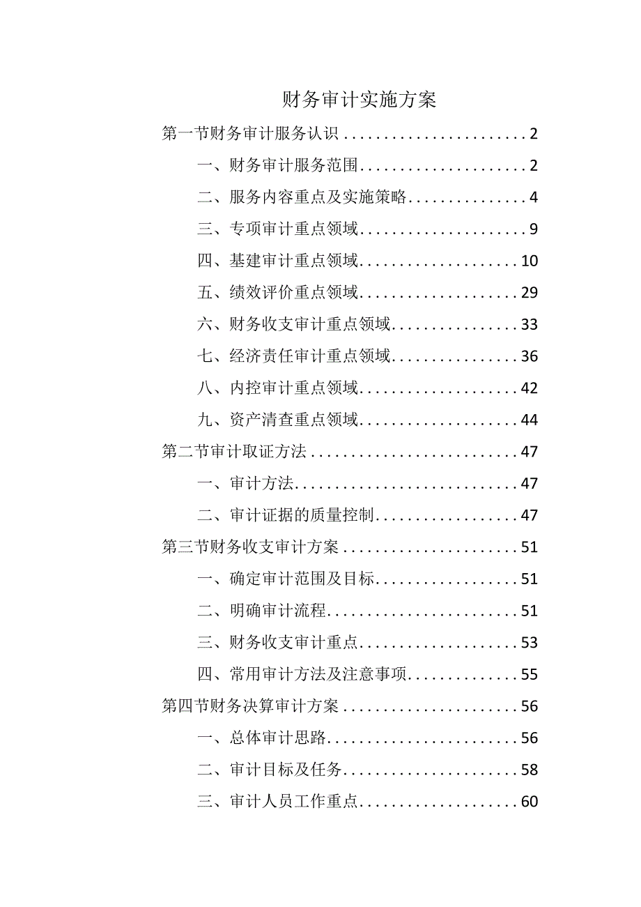 财务审计实施方案.docx_第1页