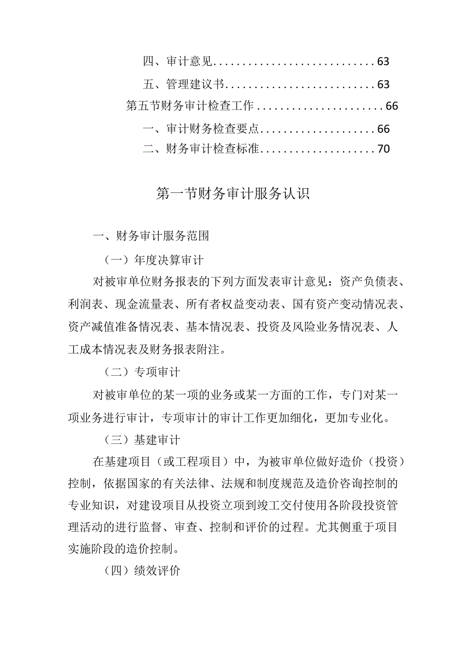 财务审计实施方案.docx_第2页