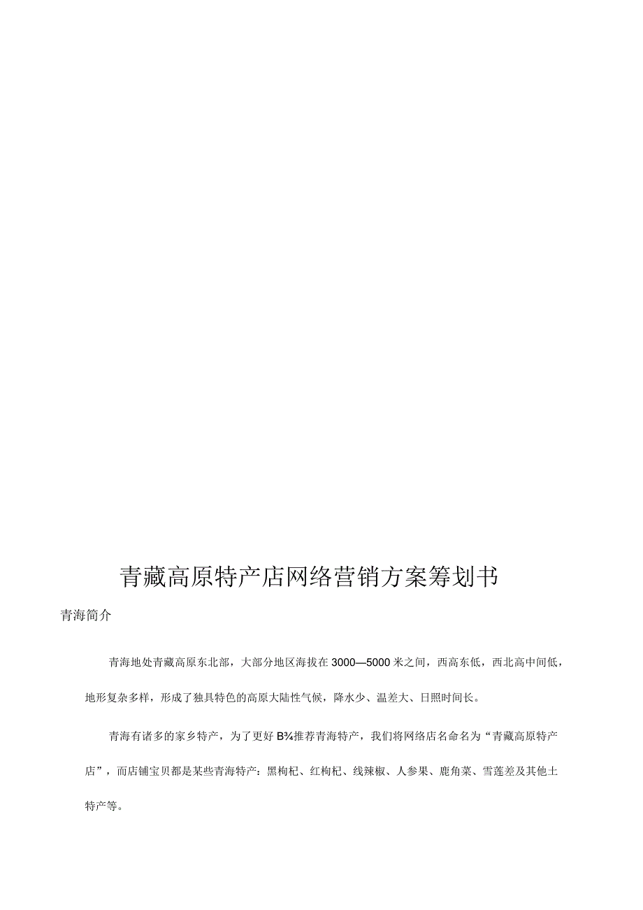 青藏高原特产店网络推广攻略.docx_第1页