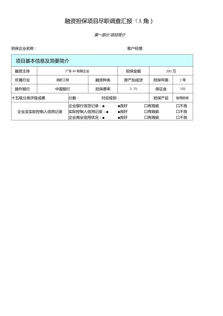 银行融资项目尽职调查报告A角.docx_第1页