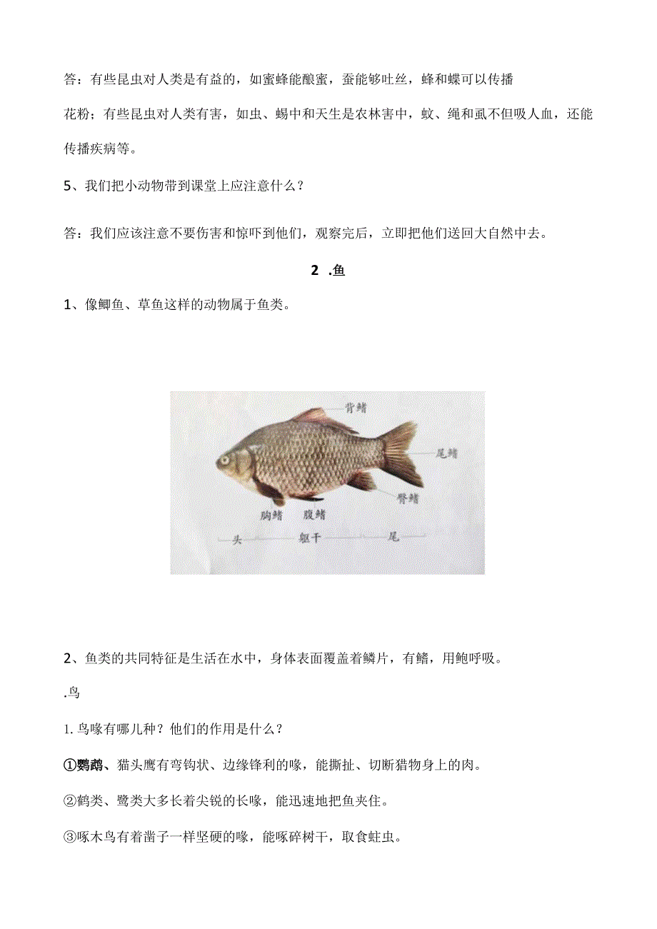 青岛版五四制四年级上册科学全册知识点汇总.docx_第2页