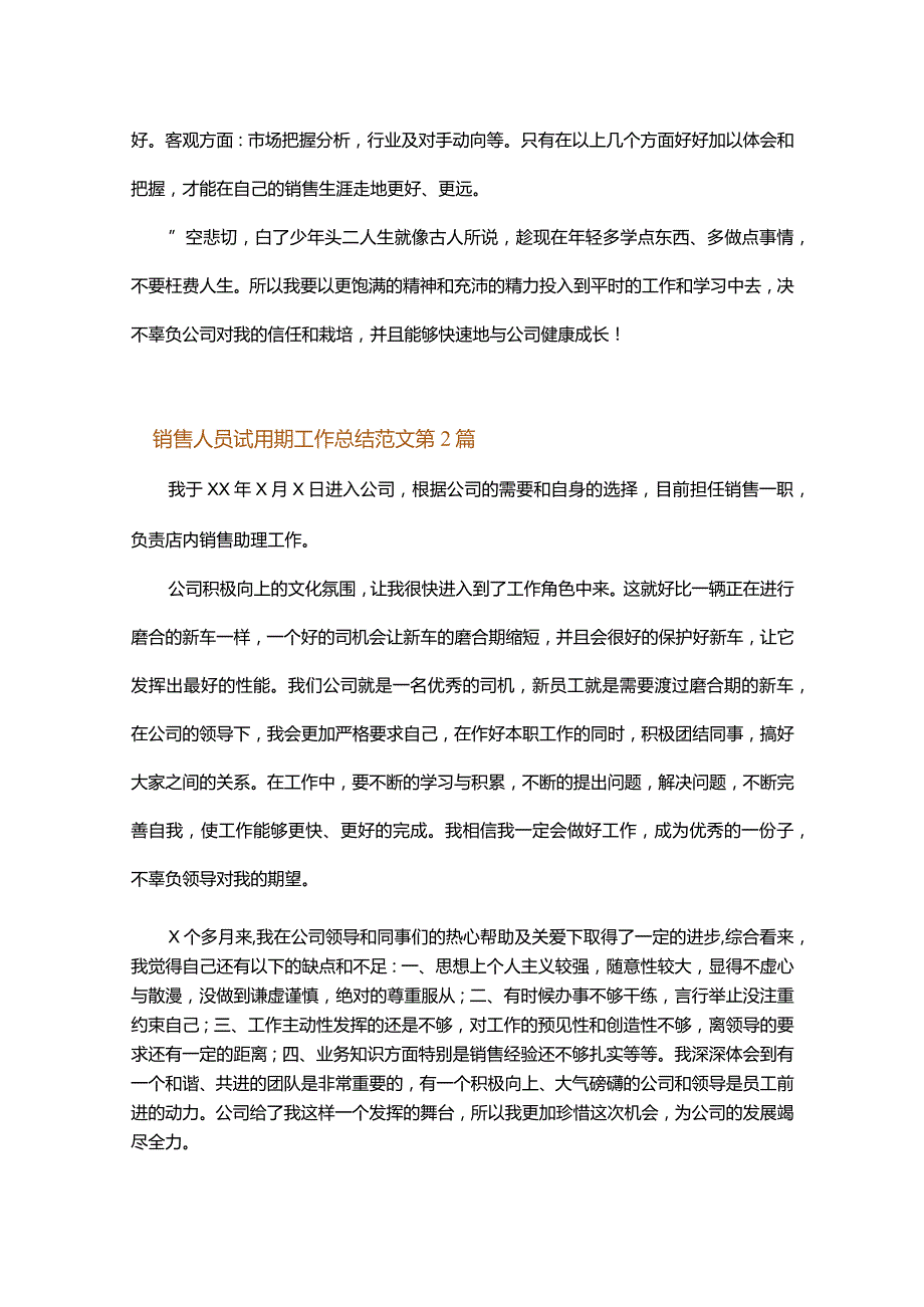 销售人员试用期工作总结范文.docx_第3页