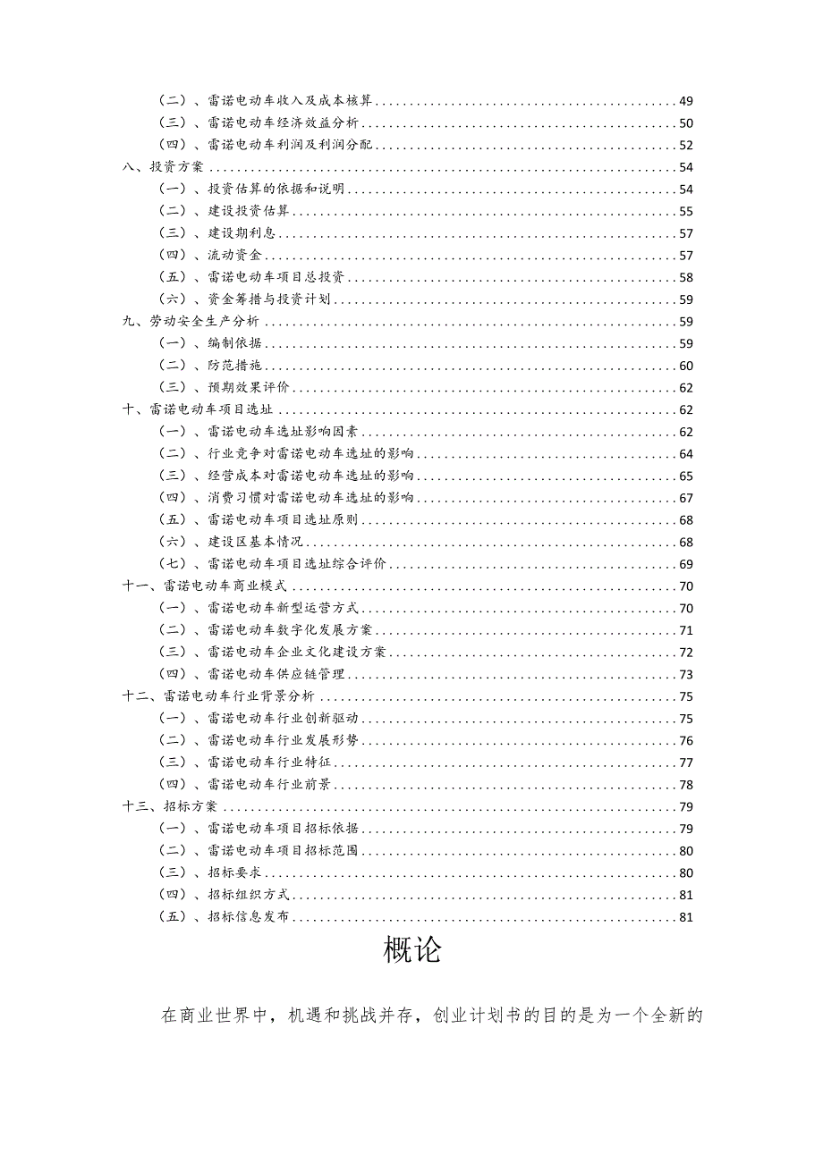 雷诺电动车行业商业计划书.docx_第3页