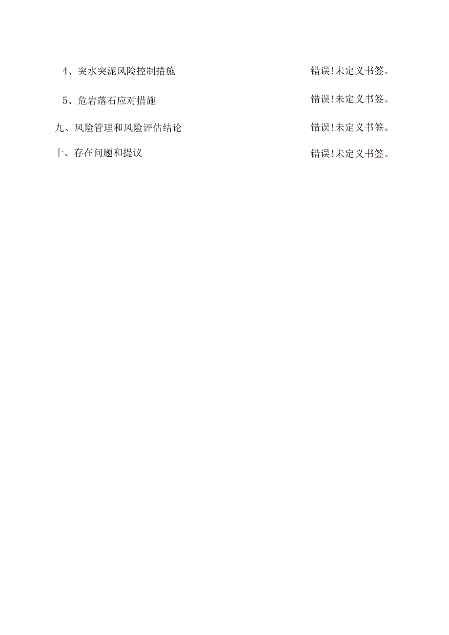 隧道风险评估调查报告.docx_第3页