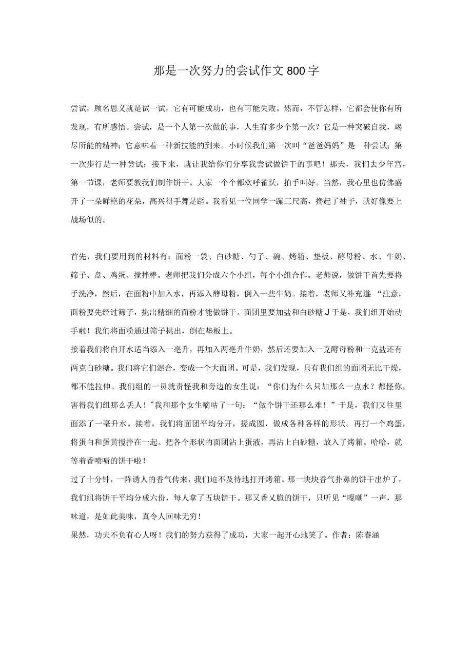 那是一次努力的尝试作文800字.docx_第1页